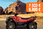 ACCESS SHADE XTREME 650 – L (EPS, ALLOY WHEELS)
