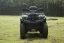 ODES ASSAILANT 850 ATV