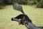 ODES ASSAILANT 850 ATV
