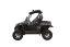 RAVAGER 1000 ATV