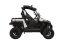 RAVAGER 1000 ATV