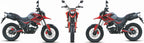 Tekken 250 cc