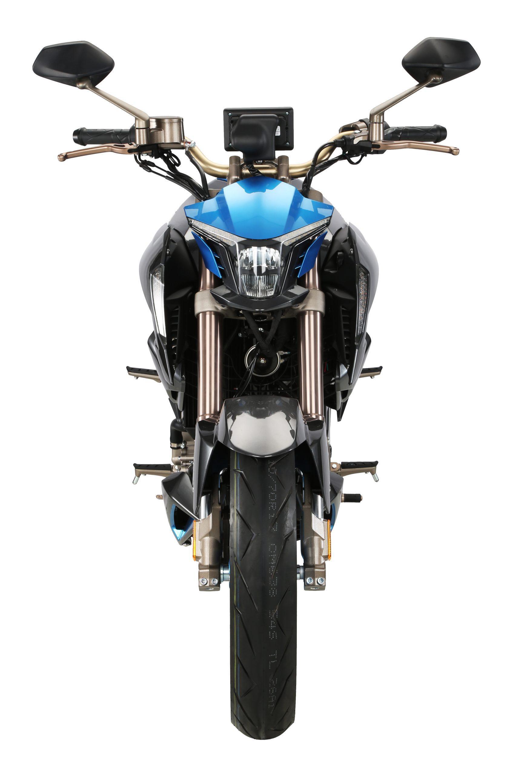 ZONTES 310 R1