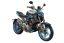 ZONTES 310 R1