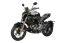 ZONTES 310 R1