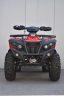 ACCESS SHADE XTREME 650 – L (EPS, ALLOY WHEELS)