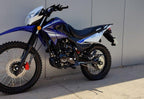 HAMACHI U150 GY