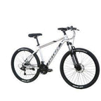 TOTEM 660M 27.5 19″
