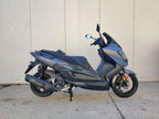 HAMACHI T11 300
