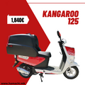 KANGAROO – Delivery