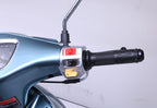 HAMACHI AZZURO 50