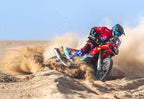 HAMACHI COVE 450 RALLY