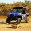 RAVAGER 1000 ATV