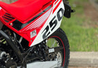 HAMACHI EXTREME 250 cc