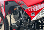 HAMACHI EXTREME 250 cc