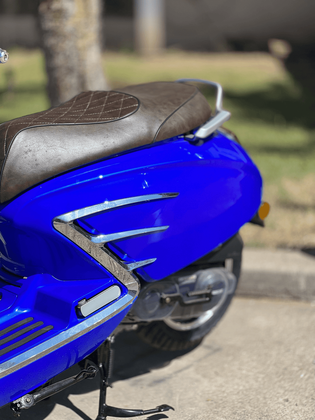 VERACRUZ 50