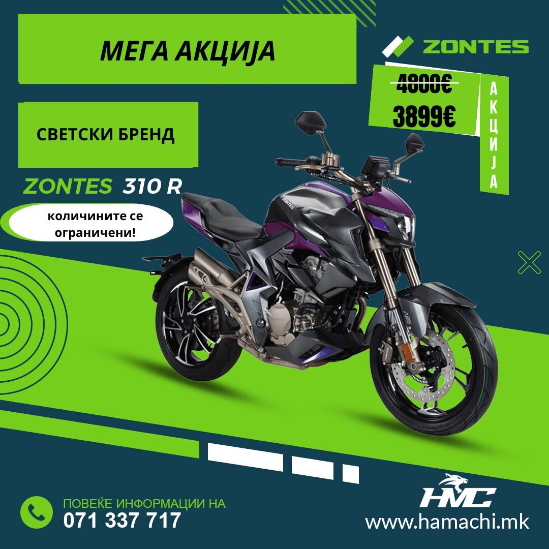 ZONTES 310 R1