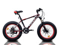 VIPER 20 FAT BIKE