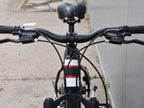 VIPER 20 FAT BIKE