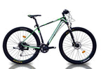 EUROBIKE CARBON 980 CB ALIVIO