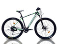 EUROBIKE CARBON 980 CB ALIVIO