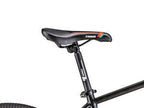 TRINX K-036 19″