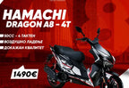 HAMACHI DRAGON – A8 – 4T