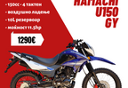 HAMACHI U150 GY