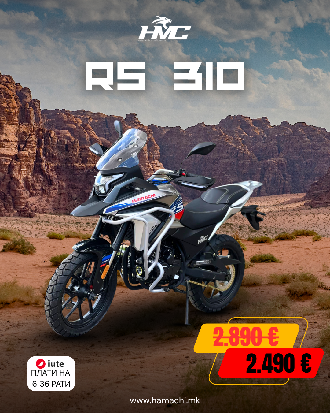HAMACHI RS310