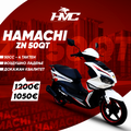 HAMACHI ZN 50QT