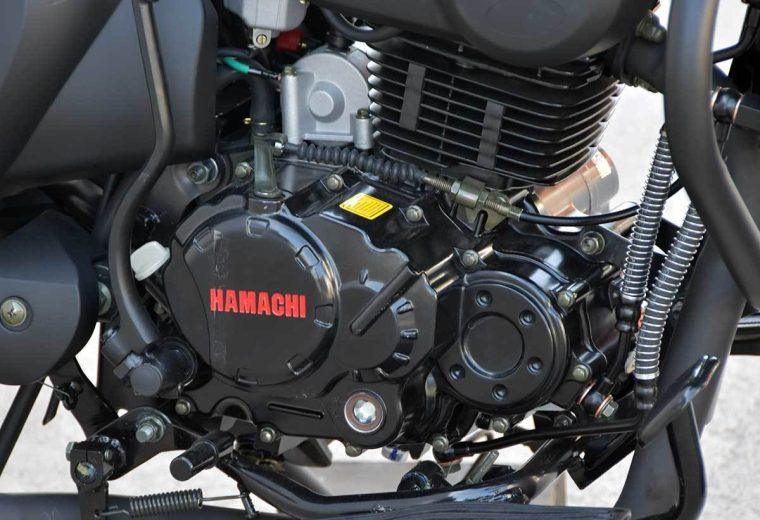 HAMACHI RENEGADE 300