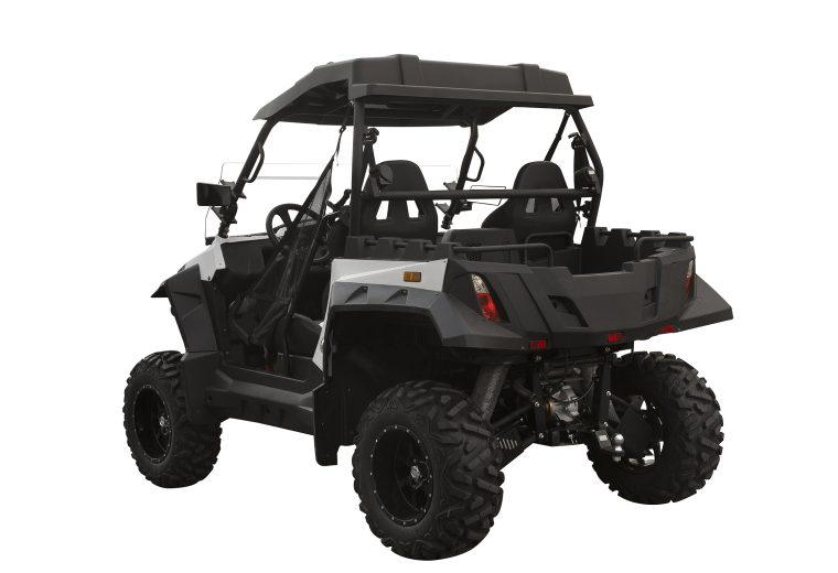 RAVAGER 1000 ATV