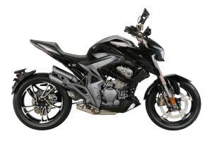 ZONTES 310 R1