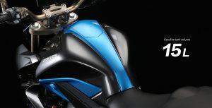 ZONTES 310 R1