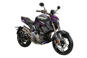 ZONTES 310 R1