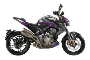 ZONTES 310 R1