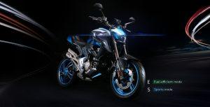 ZONTES 310 R1