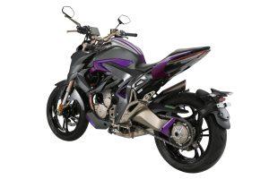 ZONTES 310 R1