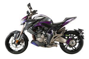 ZONTES 310 R1