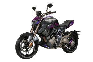 ZONTES 310 R1