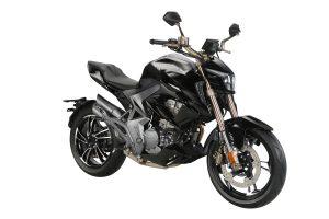 ZONTES 310 R1