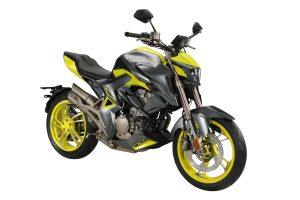 ZONTES 310 R1