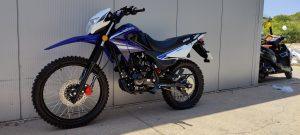 HAMACHI U150 GY
