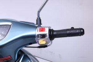 HAMACHI AZZURO 50