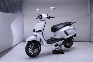 HAMACHI AZZURO 50