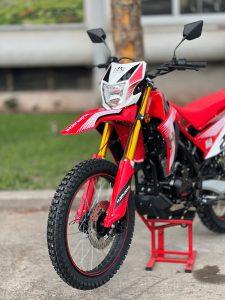 HAMACHI EXTREME 250 cc