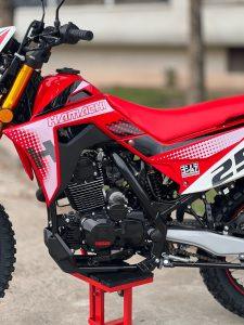 HAMACHI EXTREME 250 cc