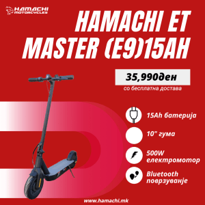 HAMACHI ET MASTER (E9)15Ah