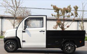 JONWAY E-CARGO EV