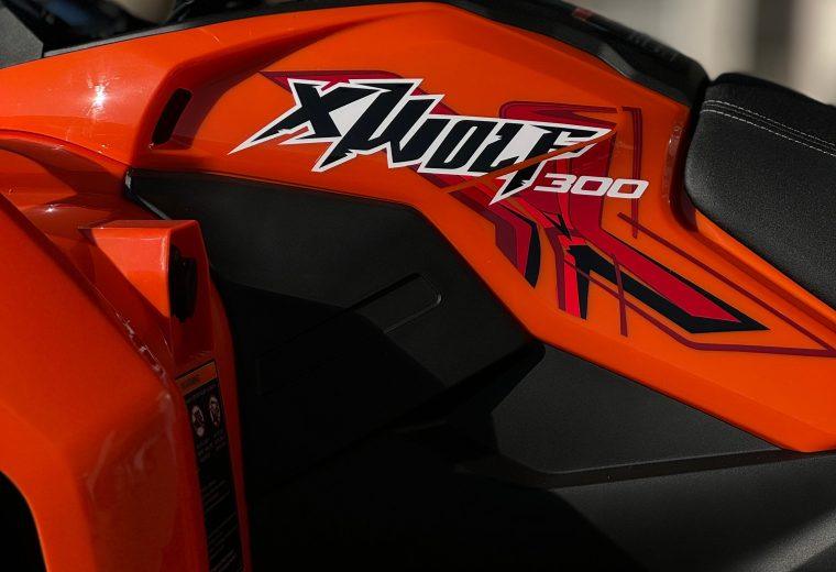 LONCIN 300
